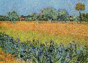 Vincent Van Gogh View of Arles With Iris oil painting